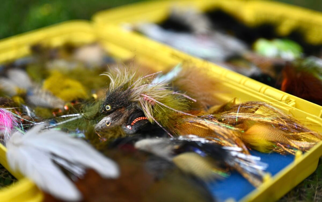 Top Streamer Patterns for the Bighorn River