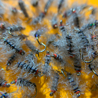 Exclusive Signature Nymphs