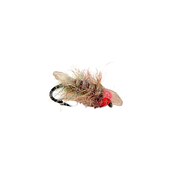 UV Yum Yum Sowbug - Pink Bead