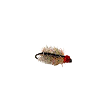 Red Bead Poxyback Sowbug - Rainbow