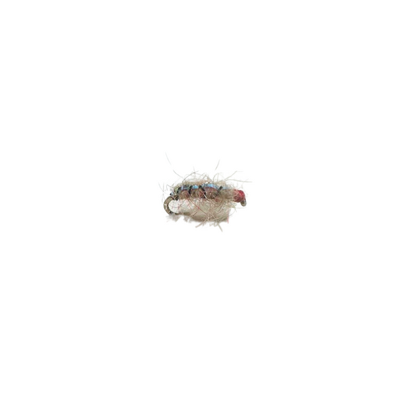 Rainbow Candy Sowbug