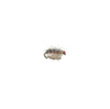 Rainbow Candy Sowbug