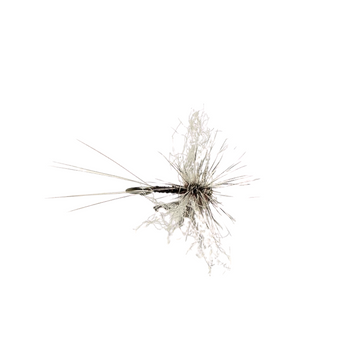 Splittsville Spinner