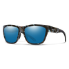 Smith Sun Glasses Poly