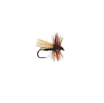 Egg laying Caddis - SALE