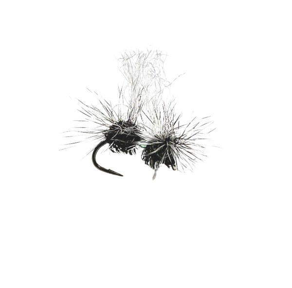 Quigley's Midge Cluster