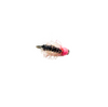 Pink Bead Carpet Bug