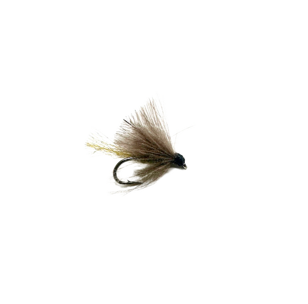 Pupil Caddis