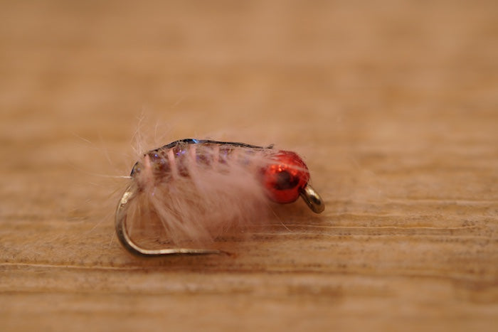 Throat Lozenge Sowbug